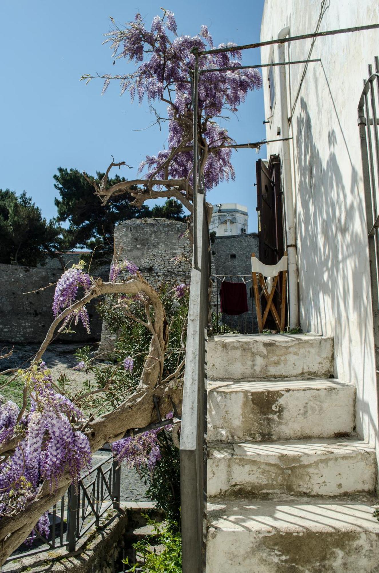 Torre La Mezzaluna Bed and Breakfast Vieste Esterno foto