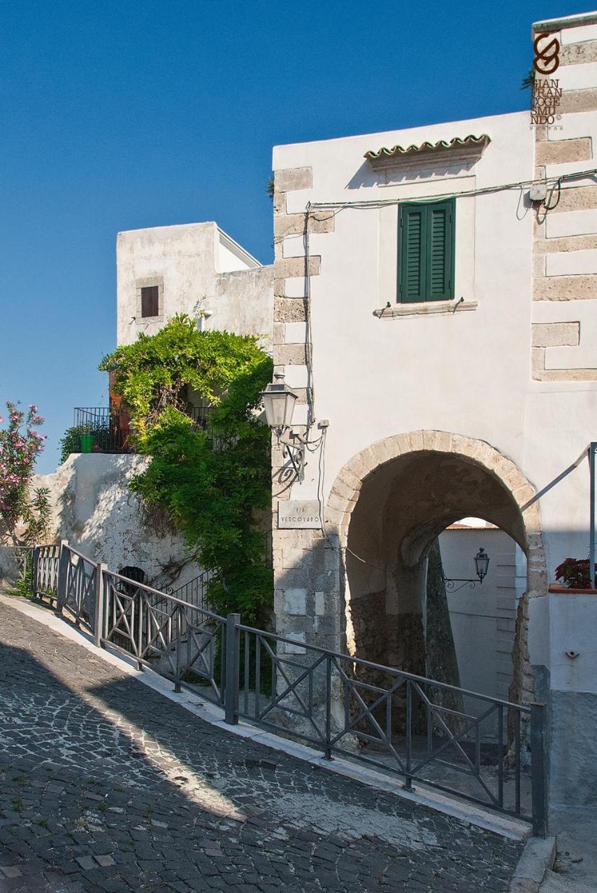 Torre La Mezzaluna Bed and Breakfast Vieste Esterno foto
